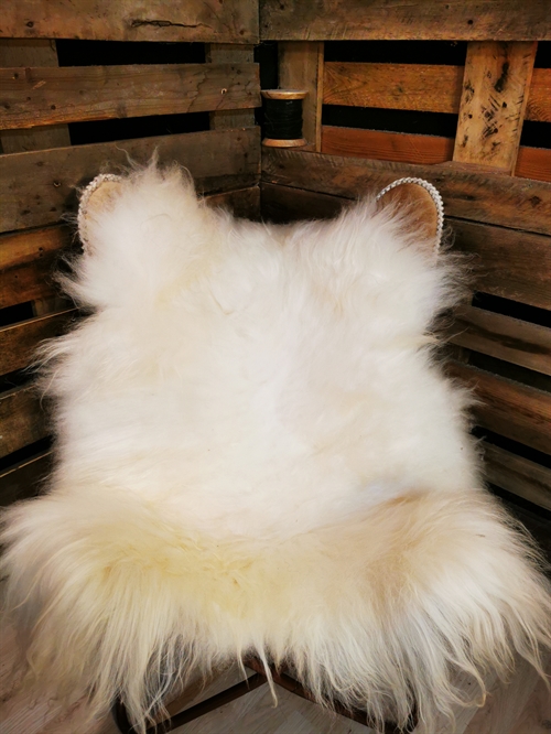 Sheepskin IS White