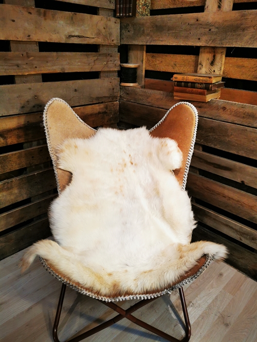 Sheepskin European Multi Color