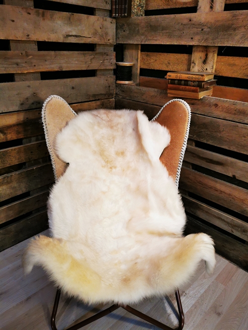 Sheepskin European Multi Color