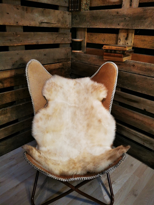 Sheepskin European Multi Color