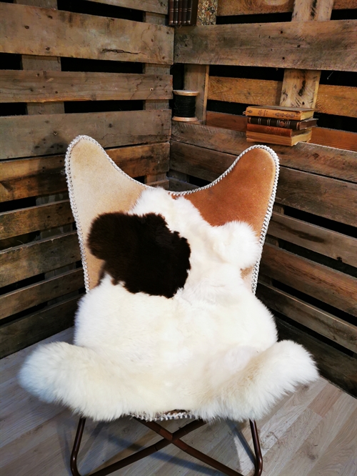 Sheepskin European Multi Color