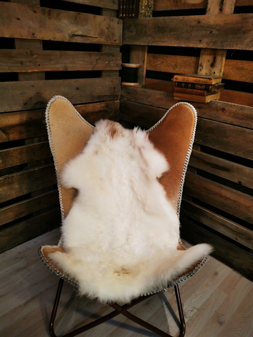 Sheepskin European Multi Color