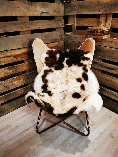 Sheepskin European Jacobsheep