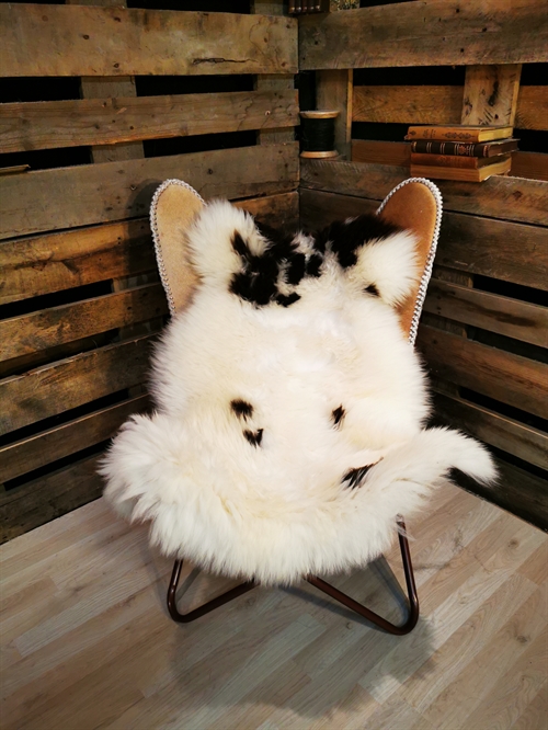 Sheepskin European Jacobsheep