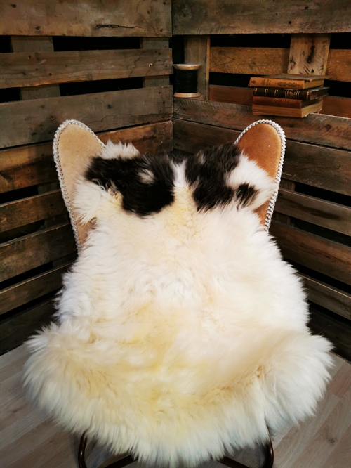 Sheepskin European Jacobsheep