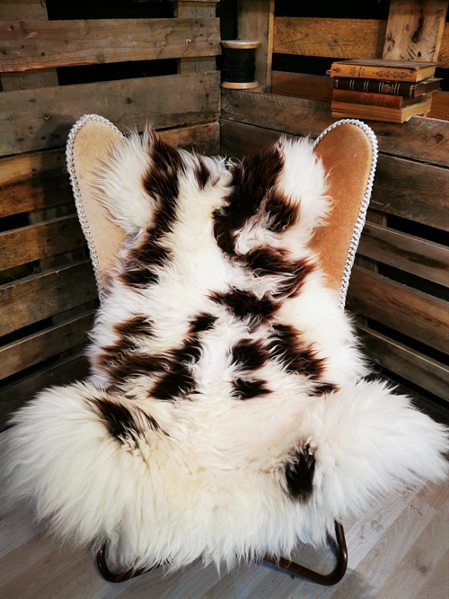 Sheepskin European Jacobsheep