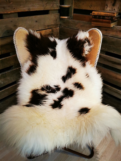 Sheepskin European Jacobsheep