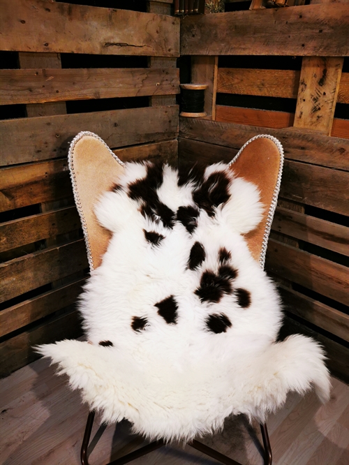 Sheepskin European Jacobsheep