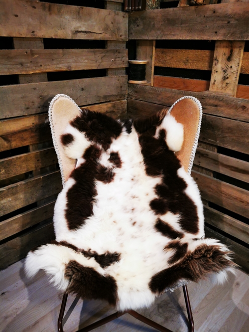 Sheepskin European Jacobsheep