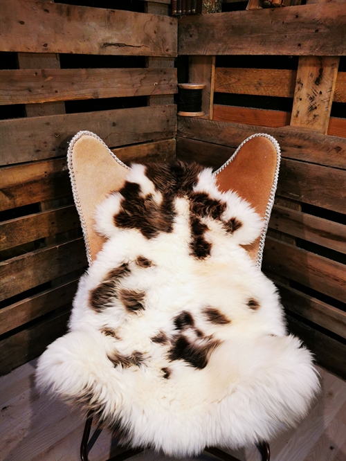 Sheepskin European Jacobsheep