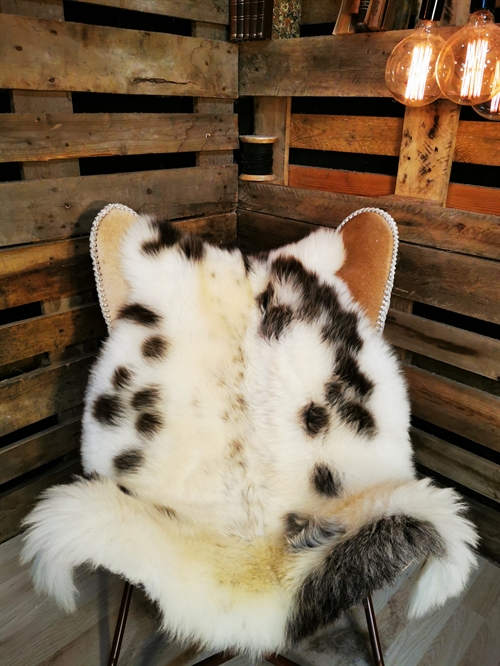 Sheepskin European Jacobsheep