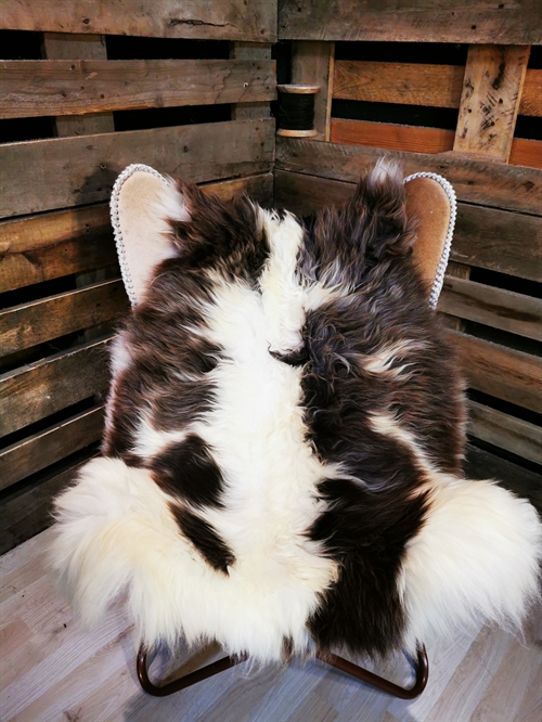 Sheepskin EU Jacob Sheep