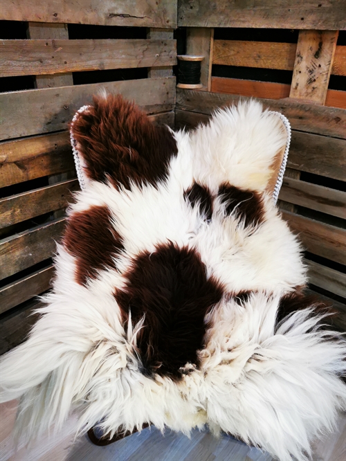 Sheepskin EU Jacob Sheep