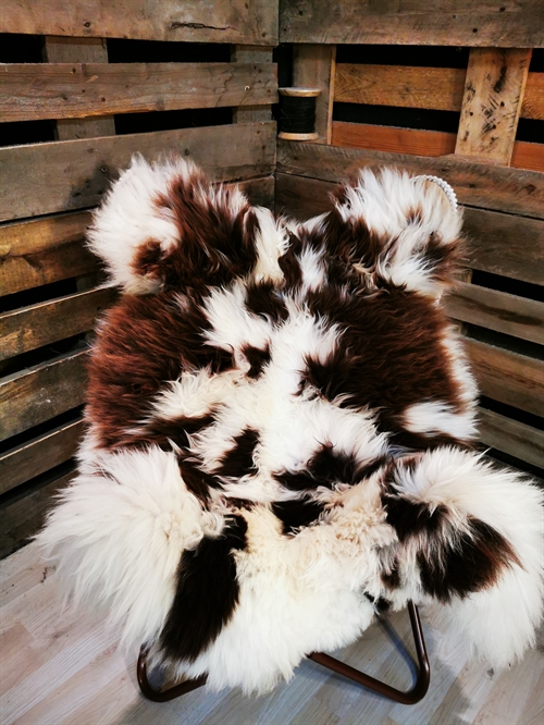 Sheepskin EU Jacob Sheep