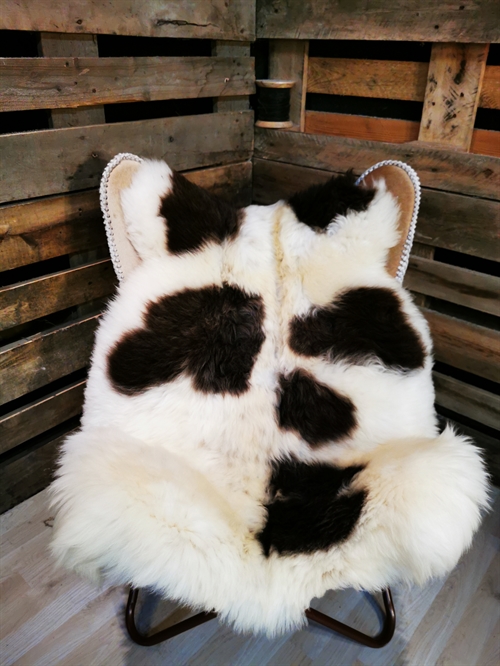 Sheepskin EU Jacob Sheep