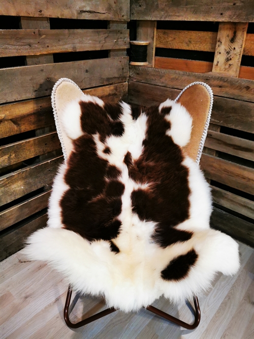 Sheepskin EU Jacob Sheep