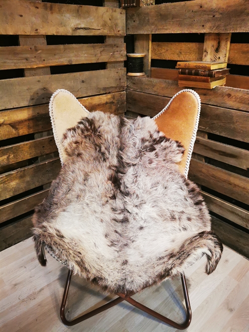 Sheepskin European Schnucke