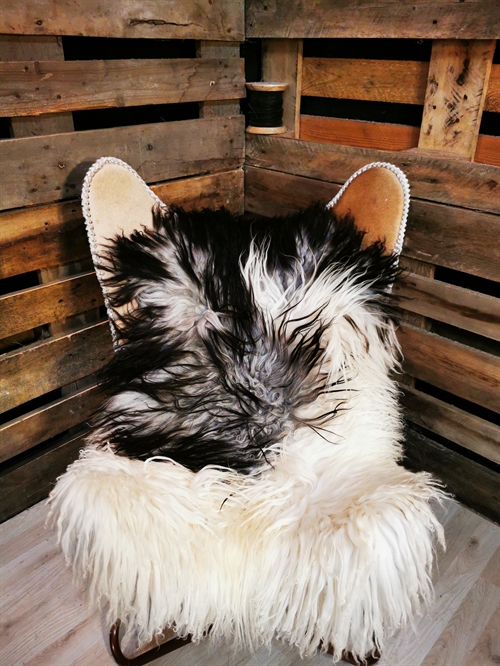 Sheepskin Greenland