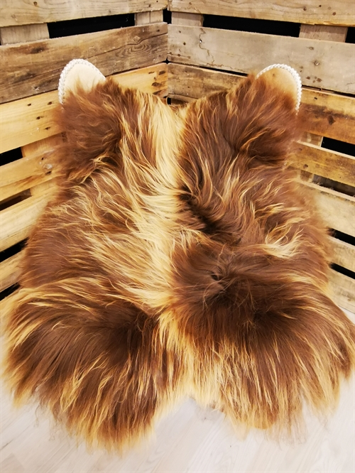 Sheepskin Icelandic Brown 