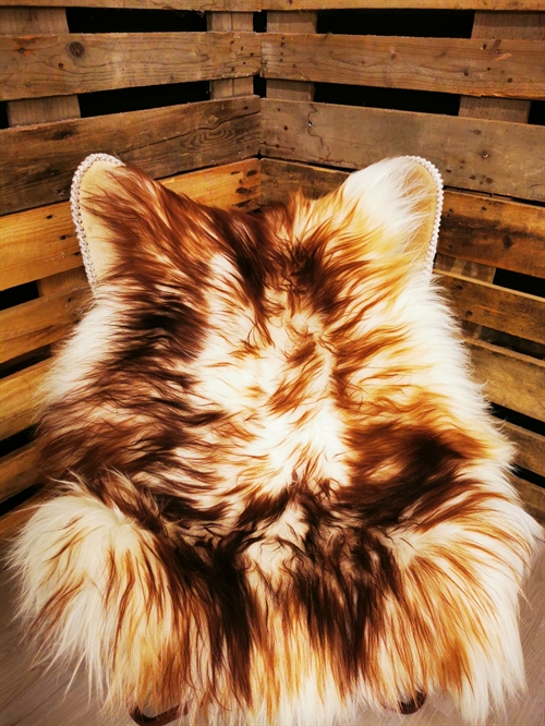 Sheepskin Icelandic Saga
