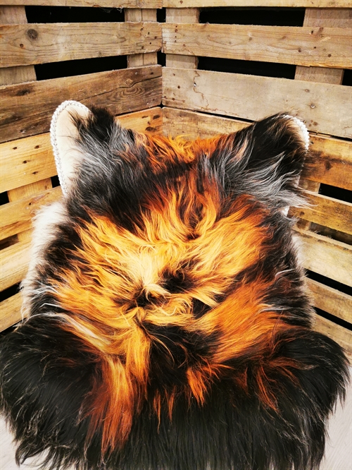 Sheepskin Icelandic Multi Flame