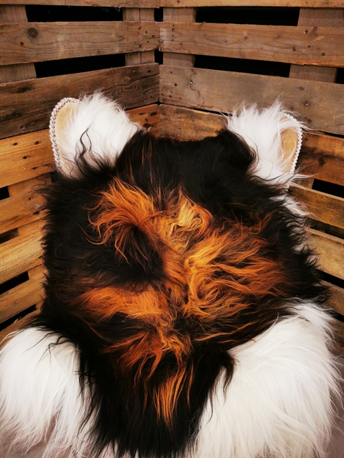 Sheepskin Icelandic Multi Flame