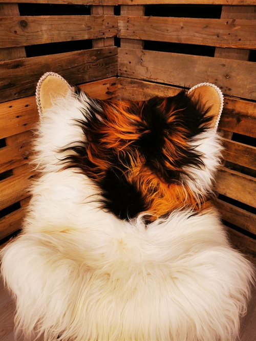Sheepskin Icelandic Multi Flame
