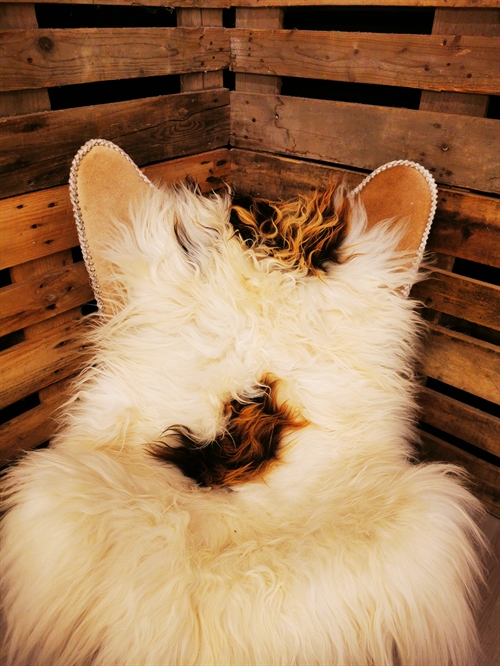 Sheepskin Icelandic Multi Flame