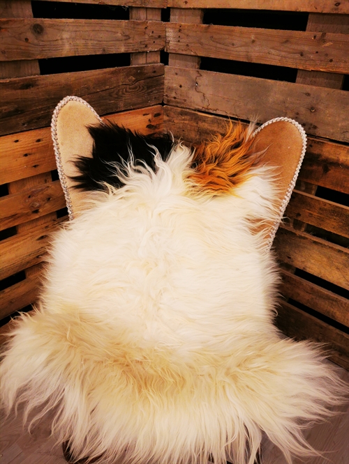 Sheepskin Icelandic Multi Flame
