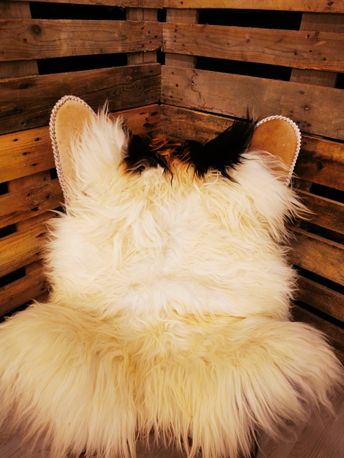 Sheepskin Icelandic Multi Flame