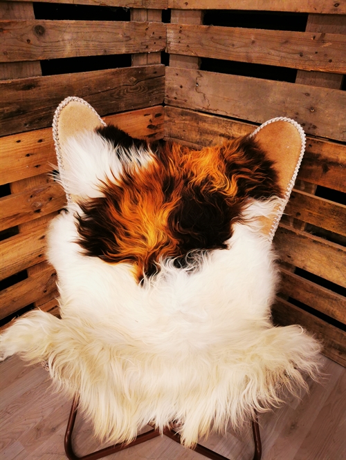 Sheepskin Icelandic Multi Flame