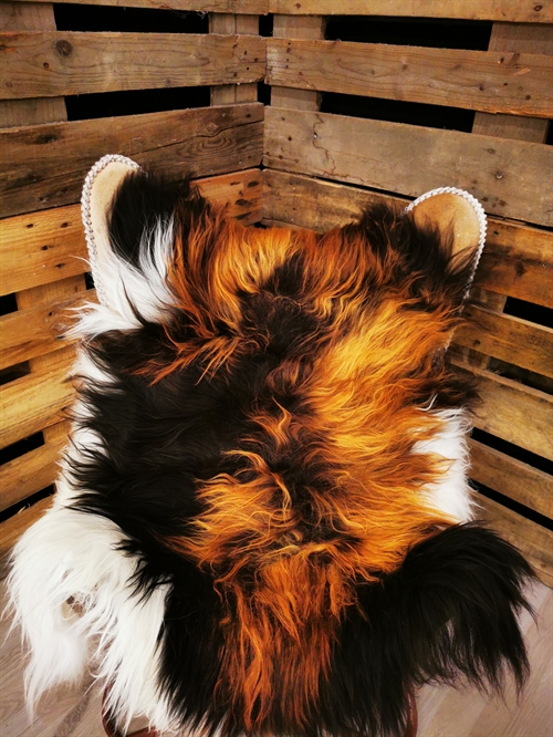 Sheepskin Icelandic Multi Flame