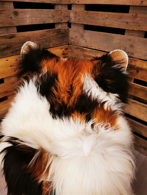 Sheepskin Icelandic Multi Flame