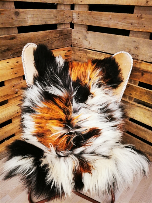Sheepskin Icelandic Multi Flame