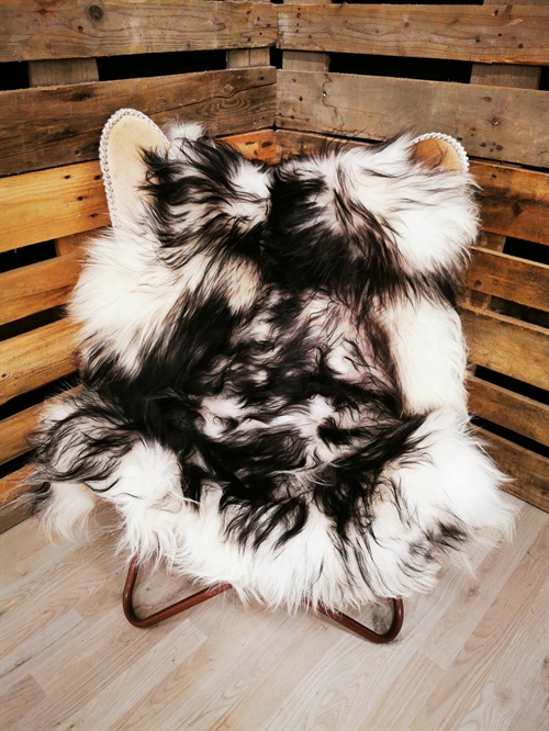 Sheepskin Icelandic Silver Shadow