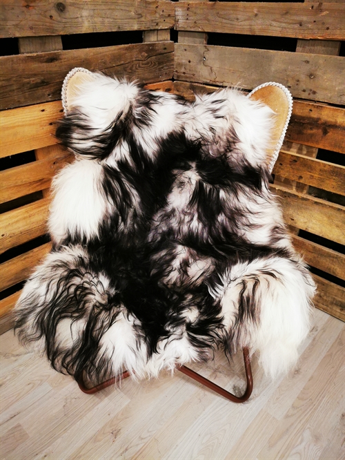 Sheepskin Icelandic Silver Shadow
