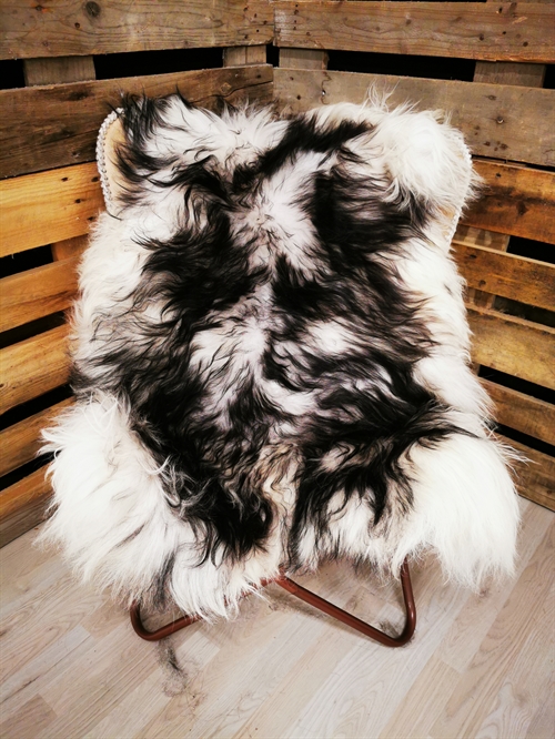 Sheepskin Icelandic Silver Shadow
