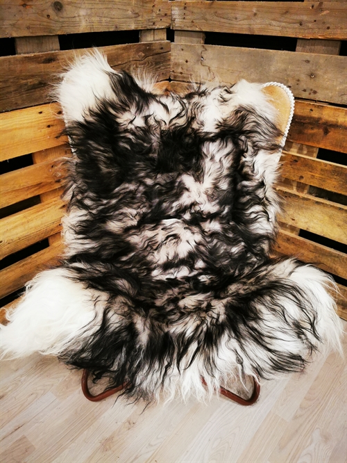 Sheepskin Icelandic Silver Shadow