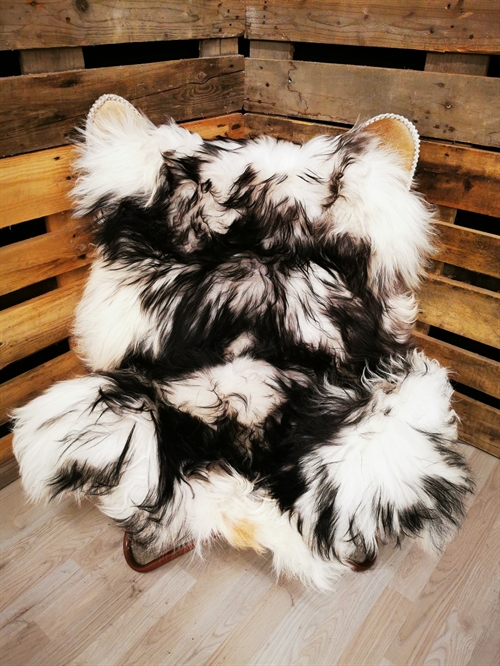 Sheepskin Icelandic Silver Shadow