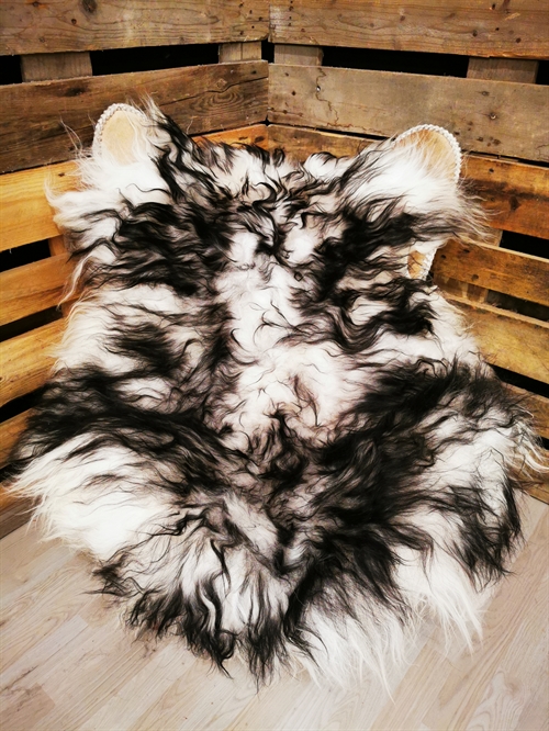 Sheepskin Icelandic Silver Shadow