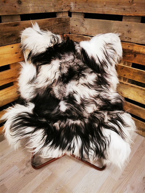 Sheepskin Icelandic Silver Shadow