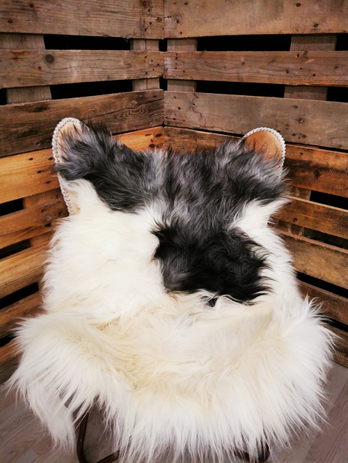 Sheepskin Icelandic Spottet