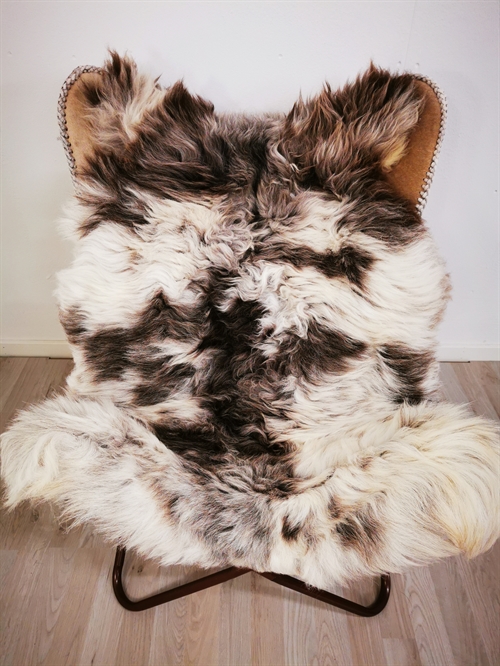 Sheepskin Jacob Sheep