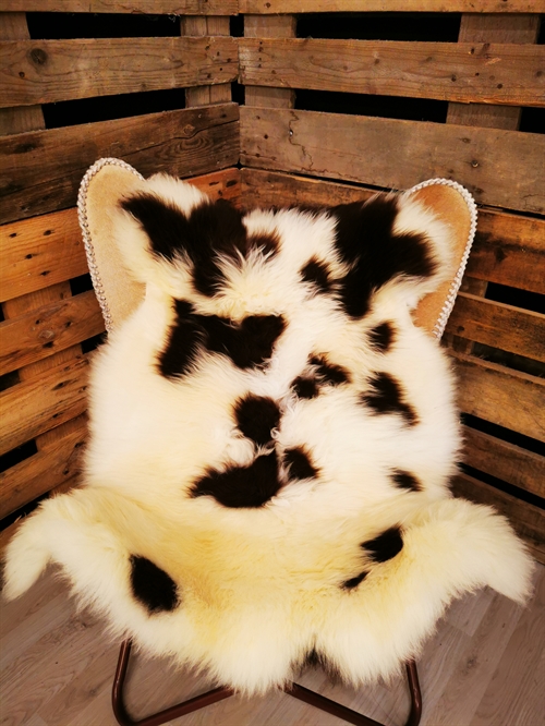 Sheepskin European Jacob sheep