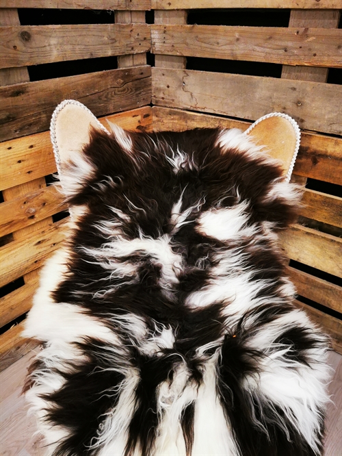 Sheepskin European Jacob sheep