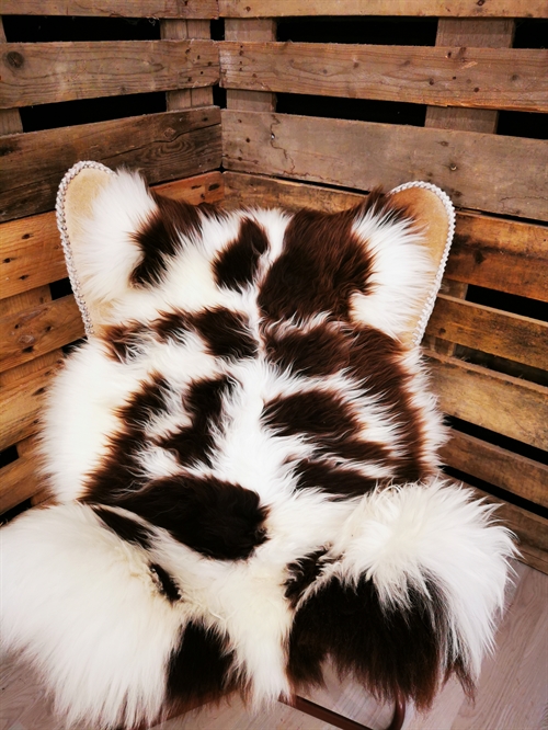 Sheepskin European Jacob sheep