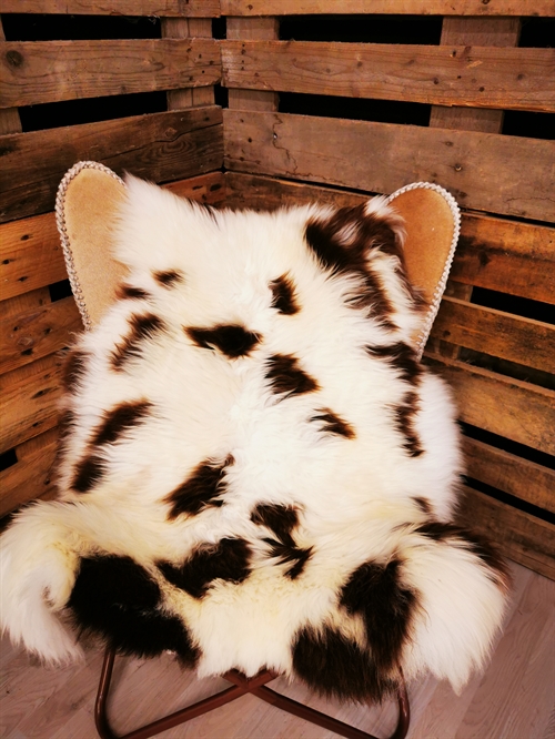Sheepskin European Jacob sheep
