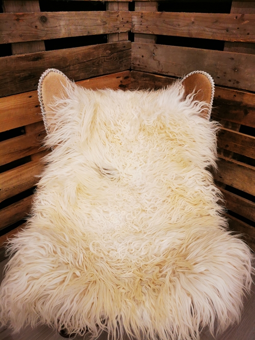 Sheepskin Greenland