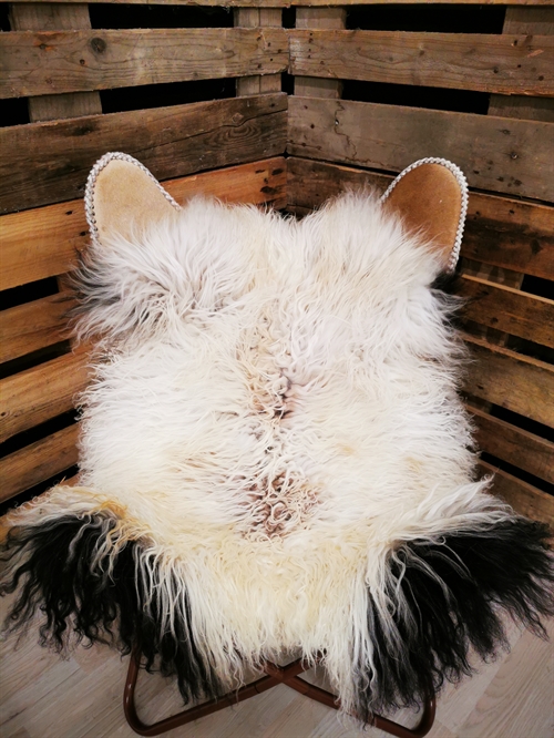 Sheepskin Greenland