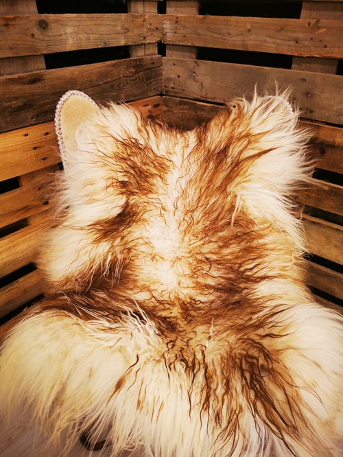 Sheepskin Greenland 